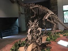 -自贡恐龙博物馆