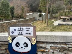 -卧龙中华大熊猫苑神树坪基地