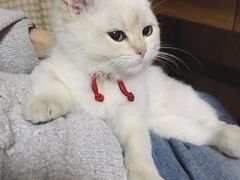 -宠颐生维康宠物医院(金丰店)