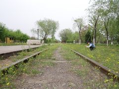 -永定河休闲森林公园