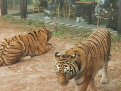 -上海野生动物园