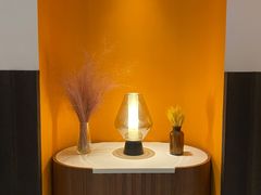 -阿妮叶李(光谷世界城店)