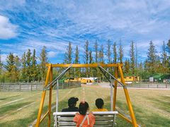 -前小桔亲子创意农场·草莓采摘·露营烧烤