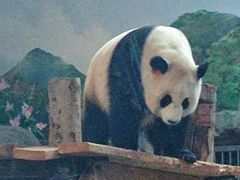 -武汉动物园