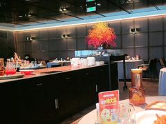 -秀儿四九城·新京菜(亚运村鸟巢店)
