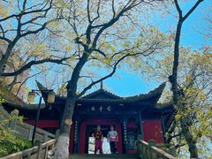 -白帝城·瞿塘峡景区