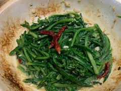 -食家鸽园