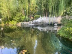 -趵突泉景区