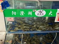 -阳澄湖大闸蟹·琼灵阁牌品牌连锁(吴中总店)