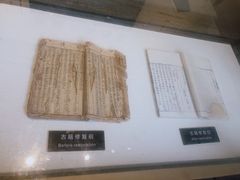 -天一阁博物院
