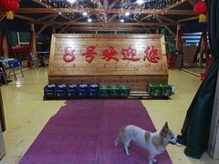 -罗源湾8号渔排