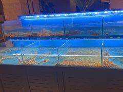 -太湖饭店玉兰厅(自助餐厅)