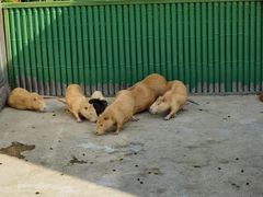 -杭州野生动物世界