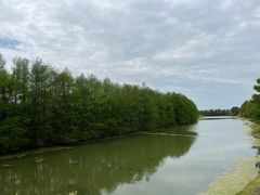 -上海海湾国家森林公园