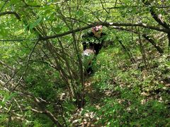 -云岫谷游猎自然风景区