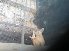 -昆明动物园