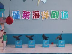 -蓬莱欧乐堡海洋极地世界