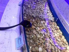 -澜悦港海鲜体验主题餐厅