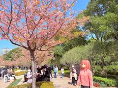 -新江湾城公园