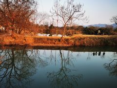 -西溪国家湿地公园