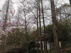 -达蓬山旅游度假区