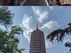 -八大处公园