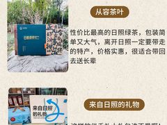 -日照海滨国家森林公园