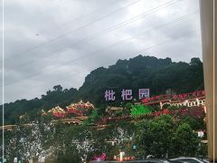 -枇杷园食为鲜火锅(南山店)
