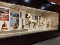-乐山市博物馆