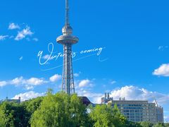 -索菲特酒店·海鲜自助 ·聚餐厅