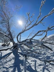 -大秃顶子山