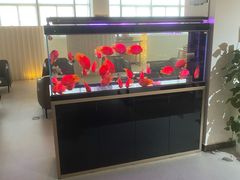 -上海和展广汽丰田4S店(老闵行店)
