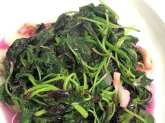 -春餐厅