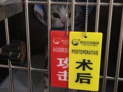 -联合动物医院(光谷诊疗中心)