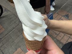 -富豪雪糕车流动点(尖沙咀)