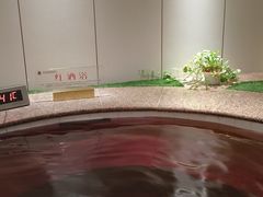 -东方威尼斯温泉酒店