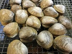 黄蚬子-马路牙子烧烤音乐酒馆(望京店)