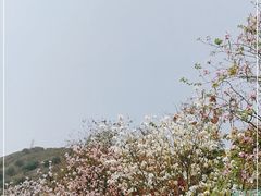 -小南山公园