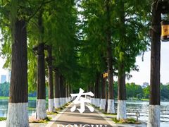 -东湖生态旅游风景区