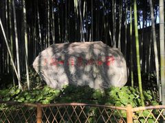 -上海醉白池公园