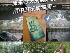 -广州动物园