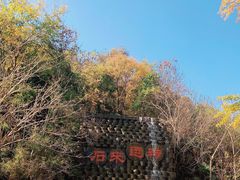 -千年银杏谷文化旅游区