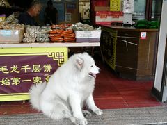 -蒋氏故居