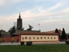-河北宾馆·香溢自助餐(裕华店)