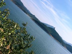 -望湖烤鱼