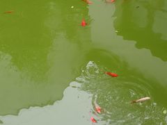-苏州文旅花间堂·探花府酒店