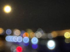 -金砂公园