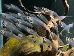 -太平洋海底世界