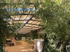 -呀路古热带植物园