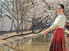 -桃花堤公园